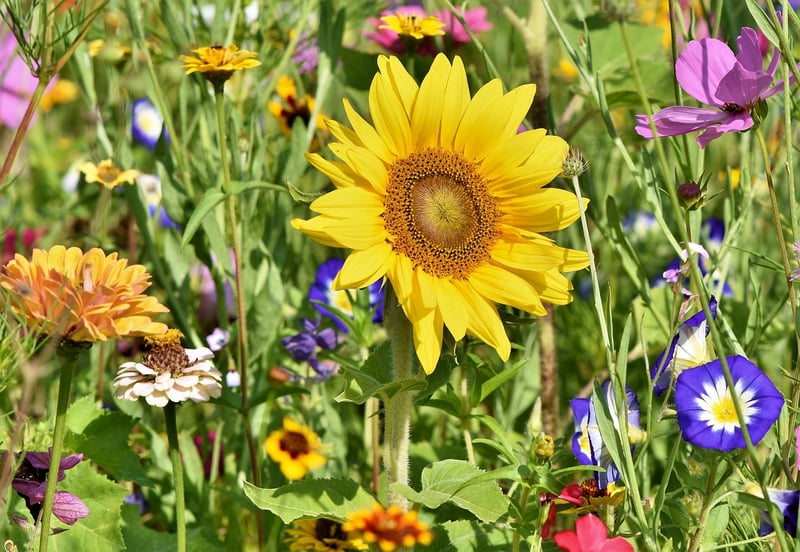 Upcycled Garden Decor